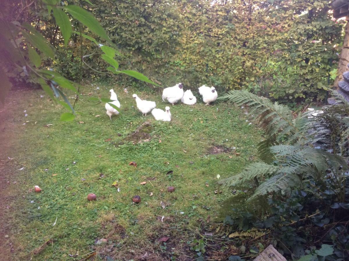 Chez Memere Helene Sormonne Luaran gambar